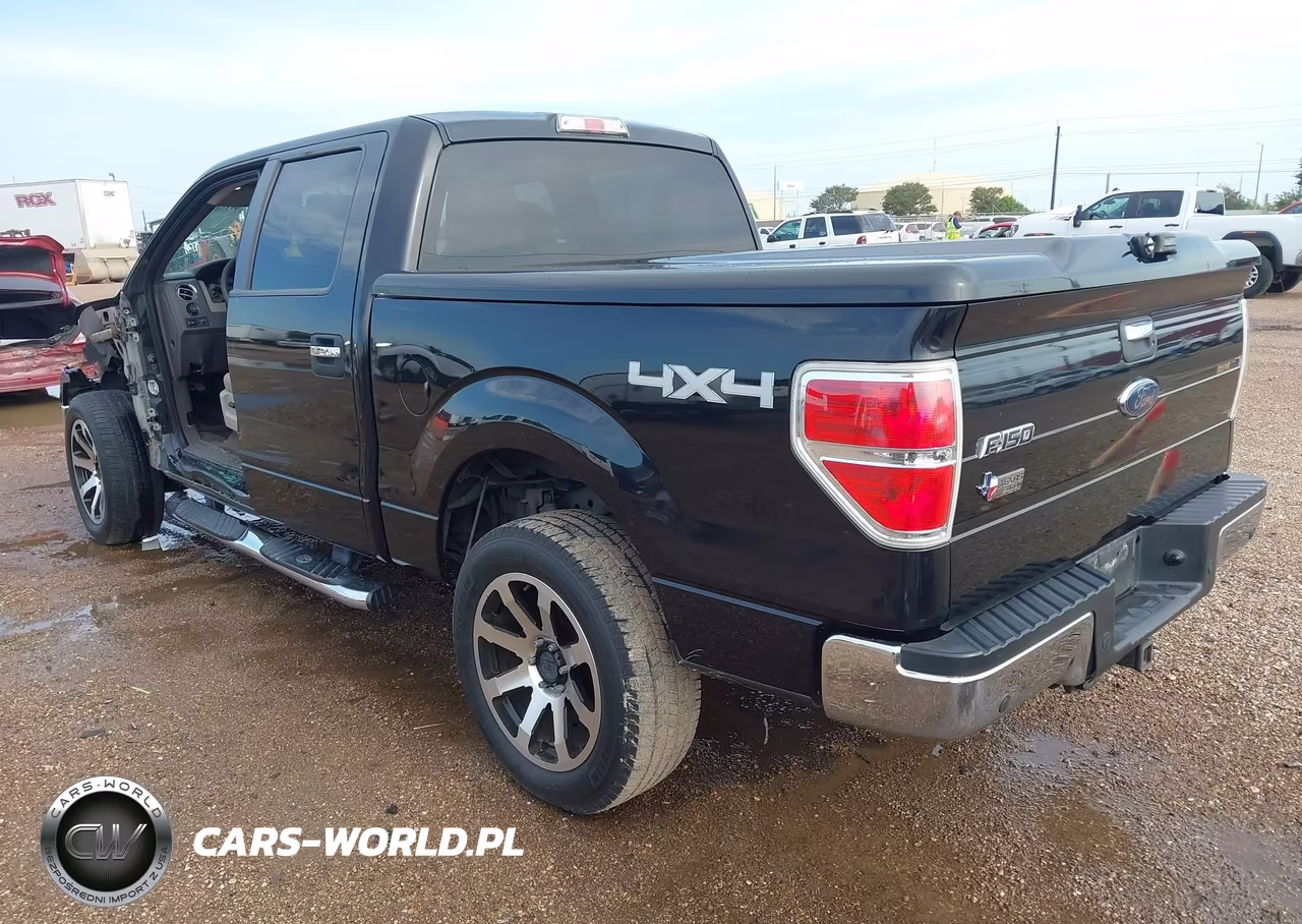 2010 Ford F-150 Xl-Xlt VIN:1FTEW1E80AFC49678 - 3