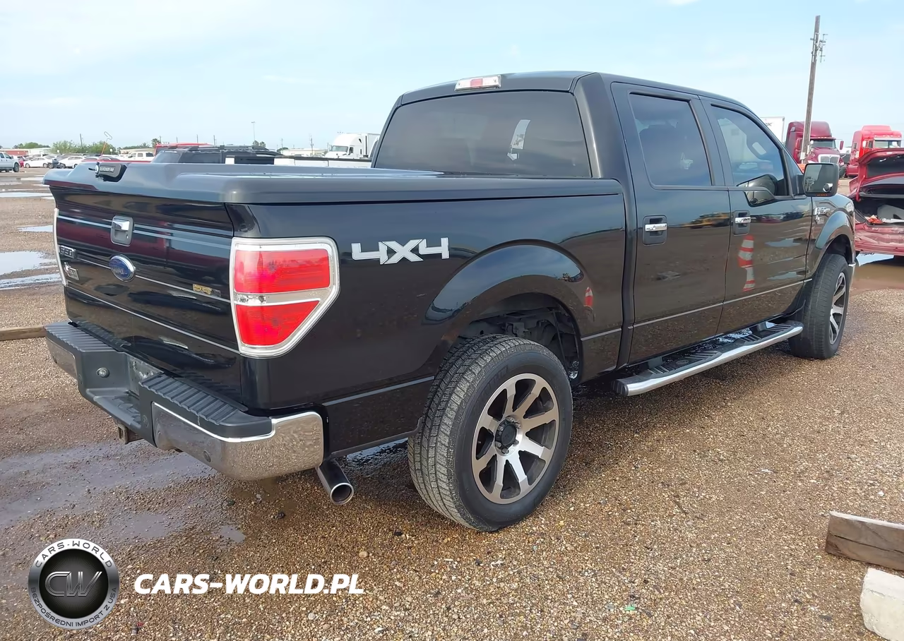 2010 Ford F-150 Xl-Xlt VIN:1FTEW1E80AFC49678 - 4