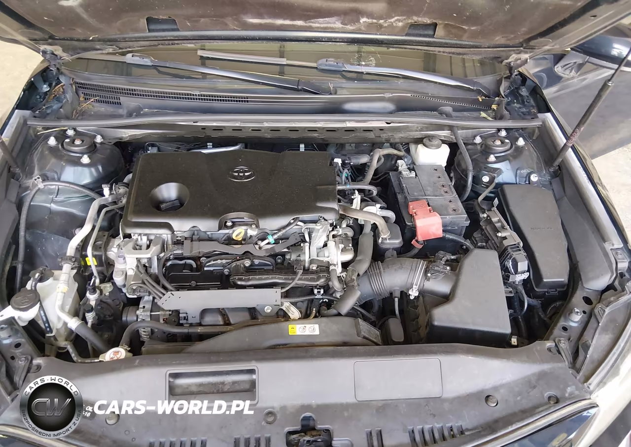 2019 Toyota Camry Le VIN:4T1B11HK3KU684986 - 10