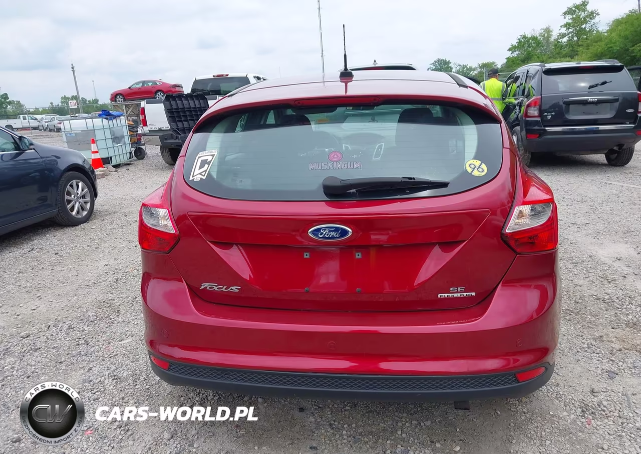 2014 Ford Focus Se VIN:1FADP3K24EL116410 - 16