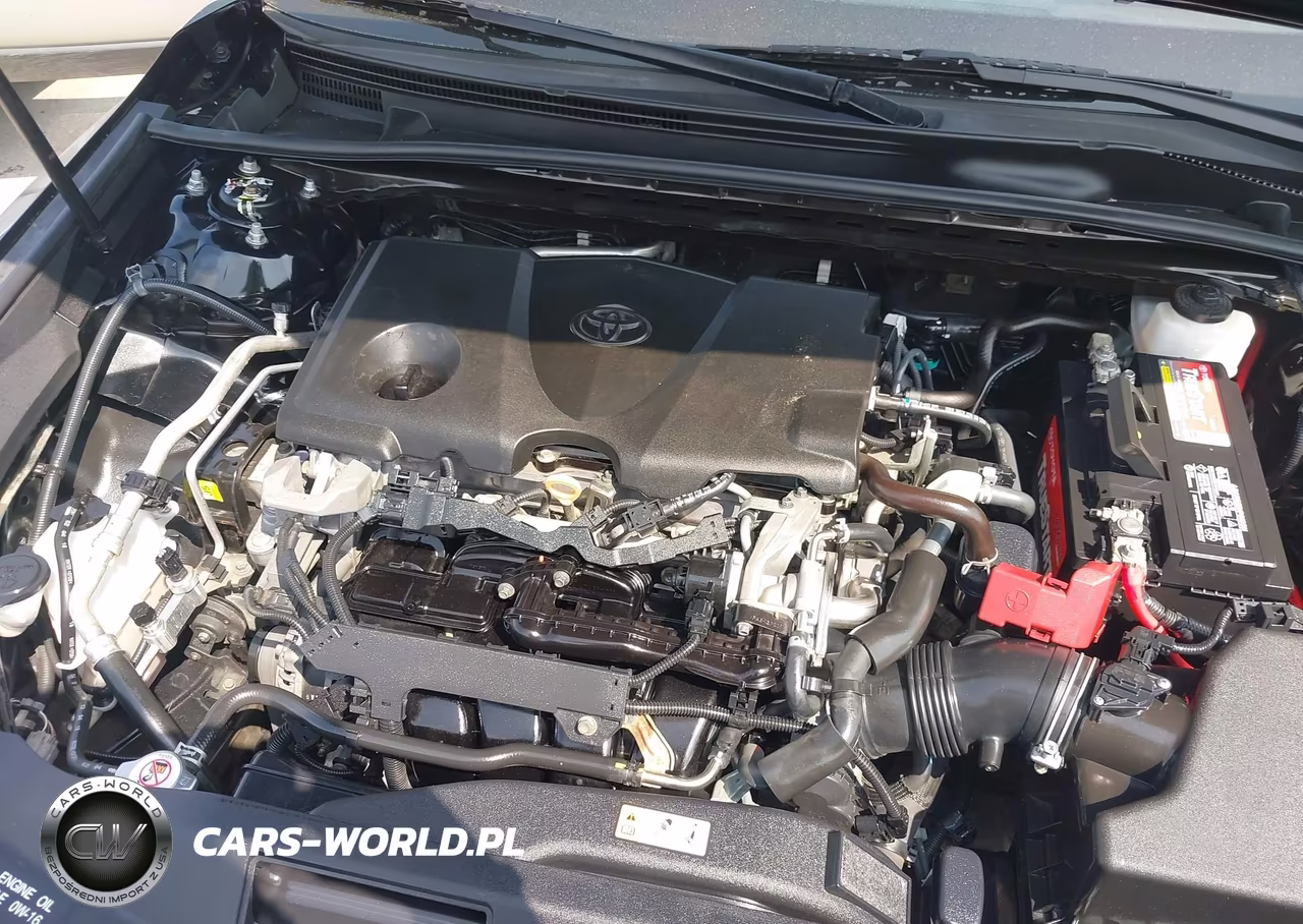 2019 Toyota Camry Se VIN:4T1B11HK0KU719192 - 10