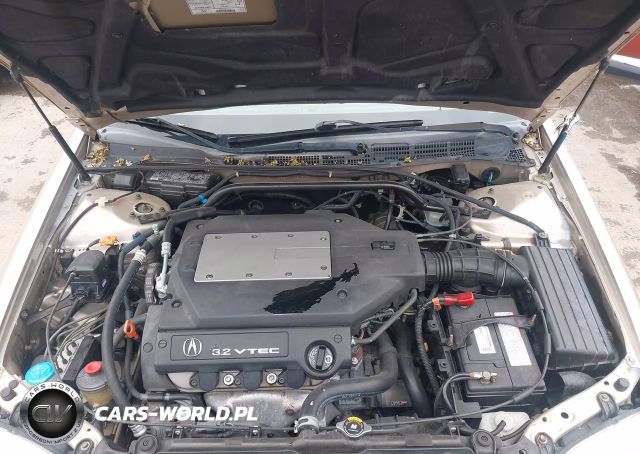 2001 Acura Tl 3.2 VIN:19UUA56691A034507 - 10