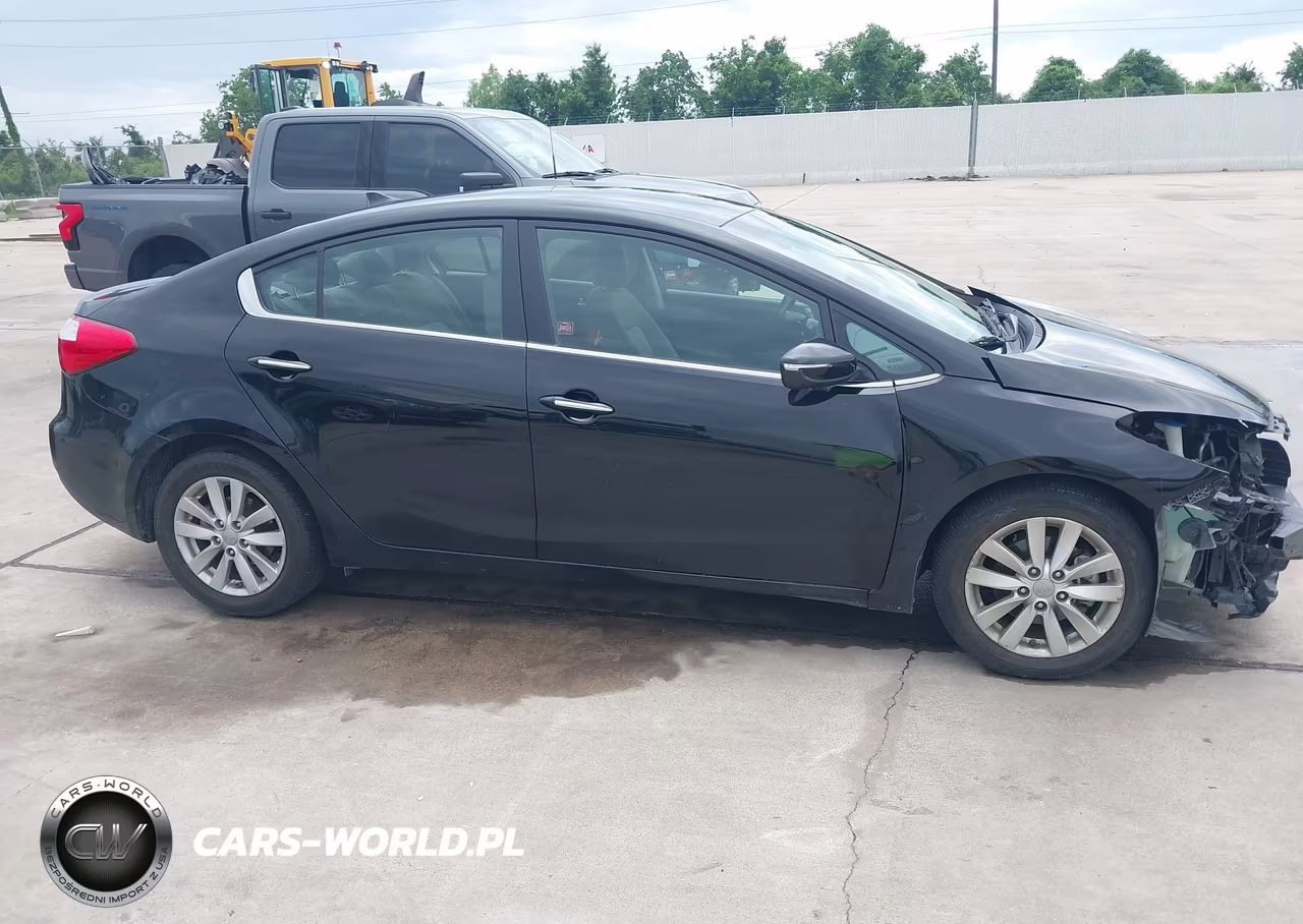 2014 Kia Forte Ex VIN:KNAFX4A82E5056434 - 13