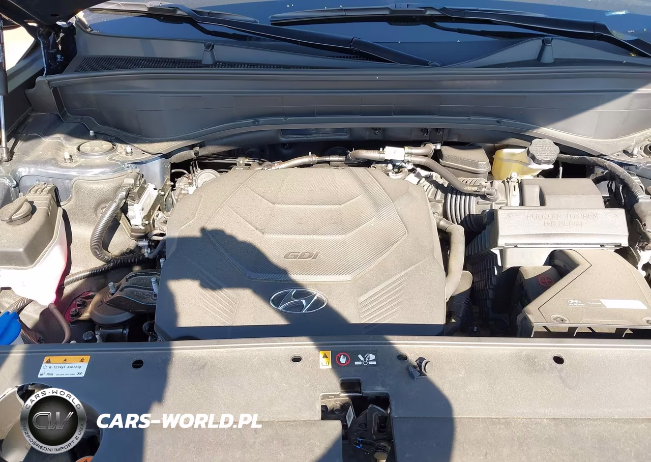 2023 Hyundai Palisade Calligraphy VIN:KM8R7DGE1PU630197 - 10