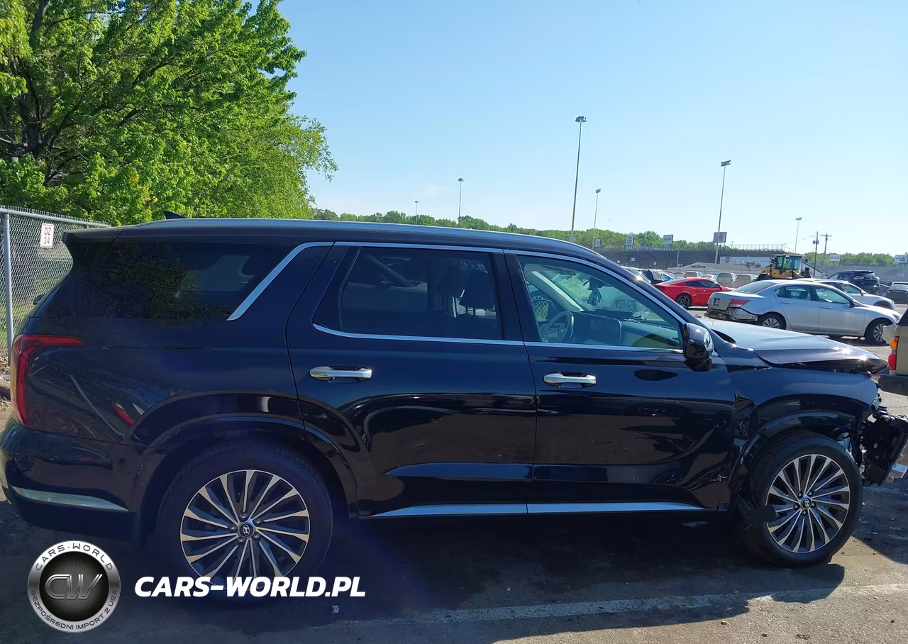 2023 Hyundai Palisade Calligraphy VIN:KM8R7DGE1PU630197 - 13