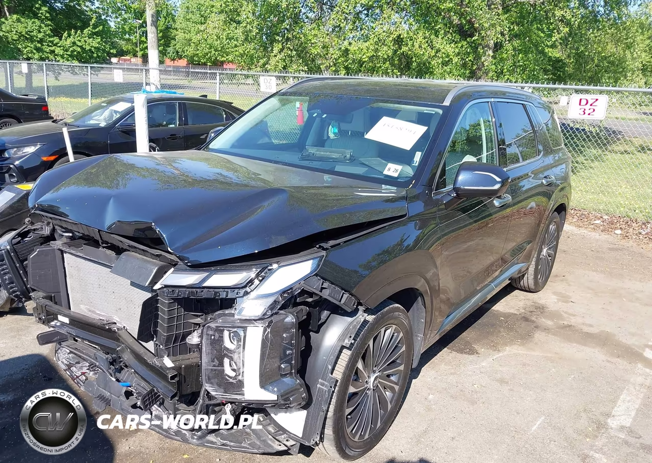 2023 Hyundai Palisade Calligraphy VIN:KM8R7DGE1PU630197 - 2