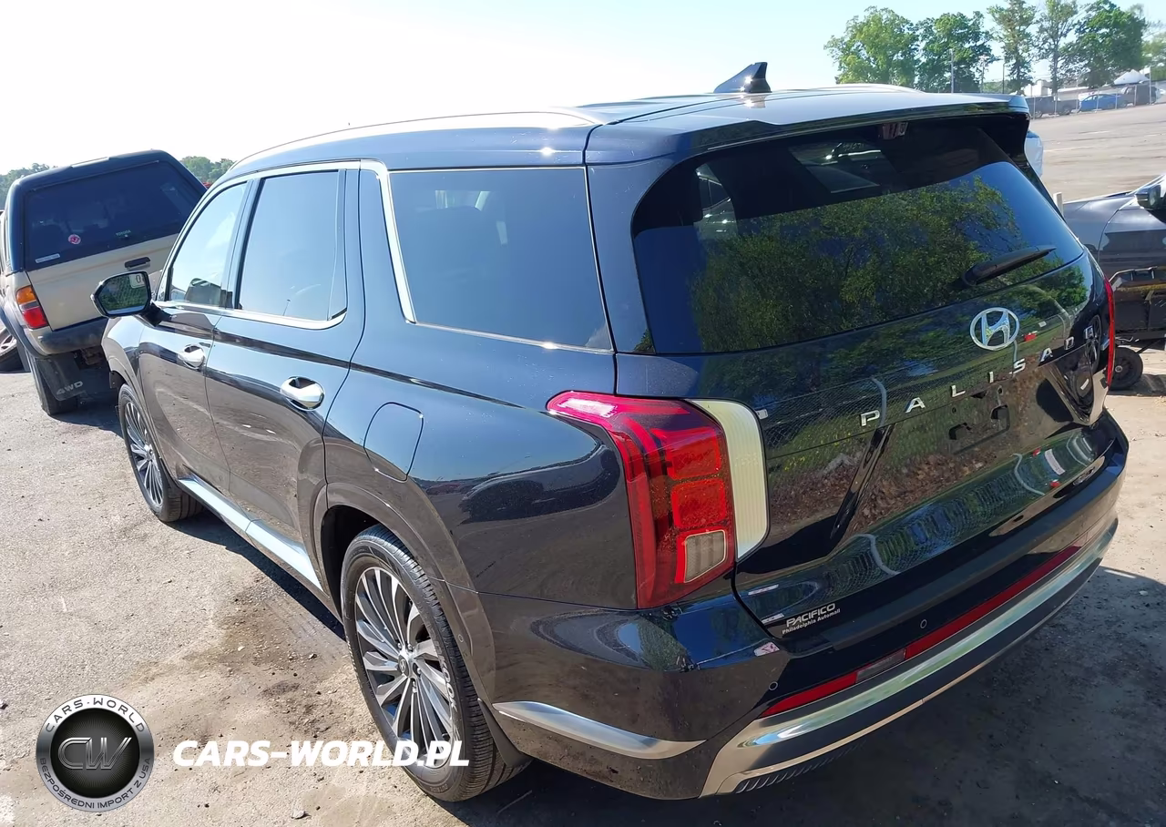 2023 Hyundai Palisade Calligraphy VIN:KM8R7DGE1PU630197 - 3