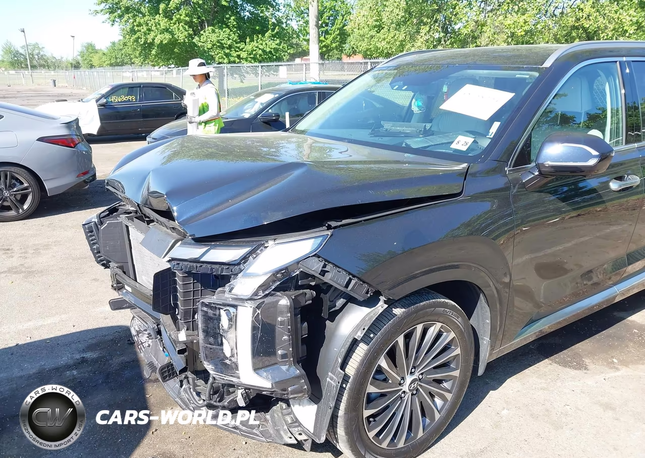 2023 Hyundai Palisade Calligraphy VIN:KM8R7DGE1PU630197 - 6