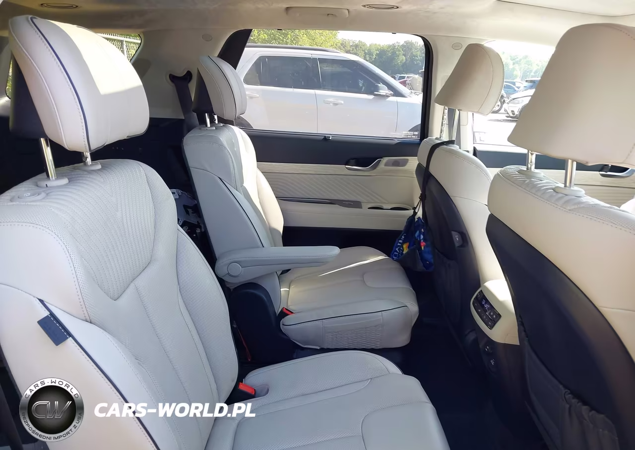 2023 Hyundai Palisade Calligraphy VIN:KM8R7DGE1PU630197 - 8