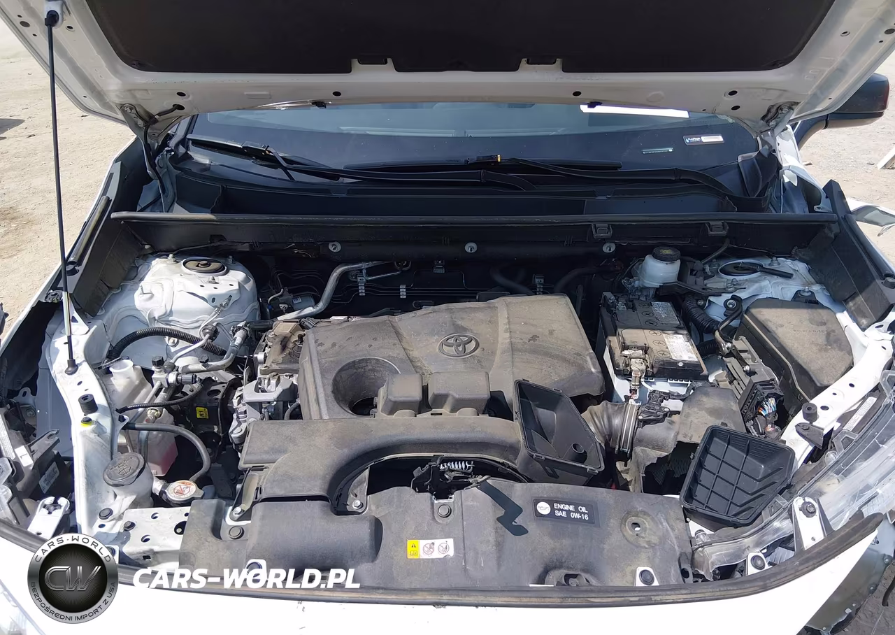2024 Toyota Rav4 Le VIN:2T3H1RFV9RW307683 - 10