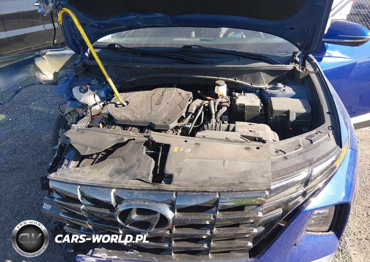 2024 Hyundai Tucson Limited VIN:5NMJECDE7RH338134 - 10
