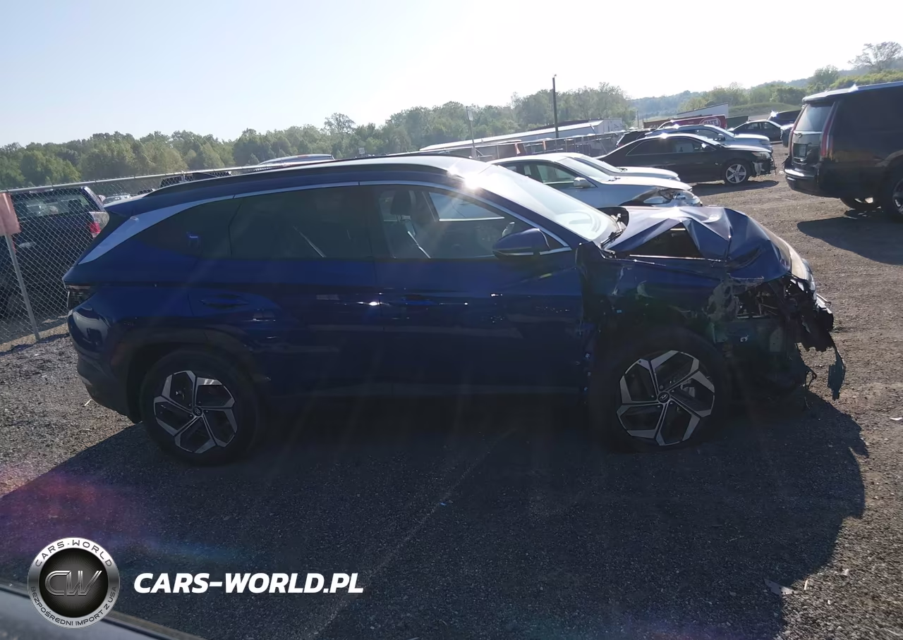 2024 Hyundai Tucson Limited VIN:5NMJECDE7RH338134 - 13