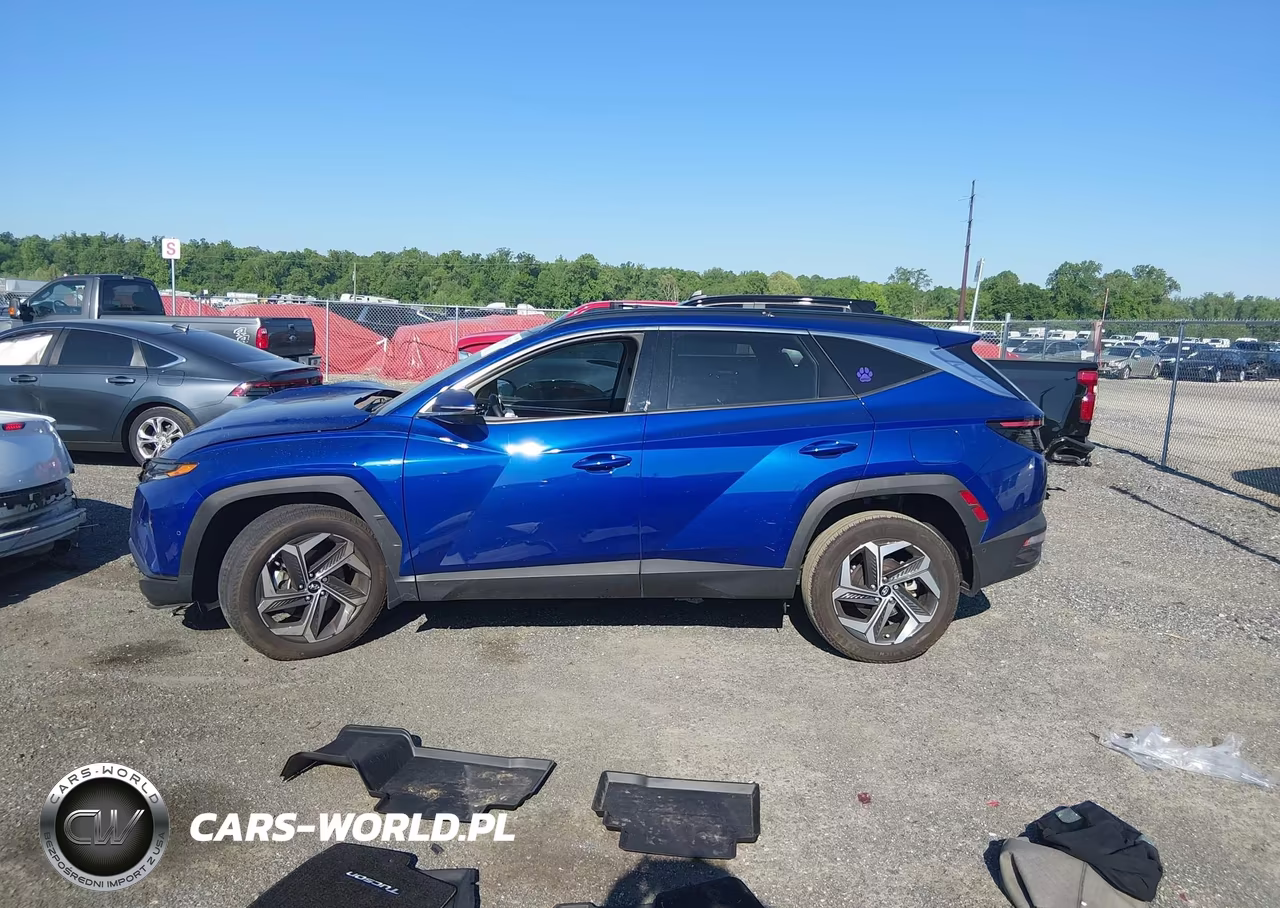 2024 Hyundai Tucson Limited VIN:5NMJECDE7RH338134 - 14