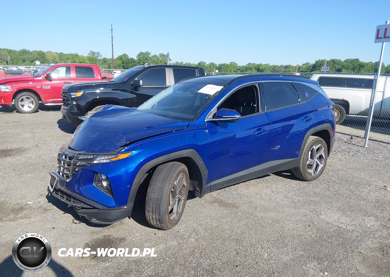 2024 Hyundai Tucson Limited VIN:5NMJECDE7RH338134 - 2