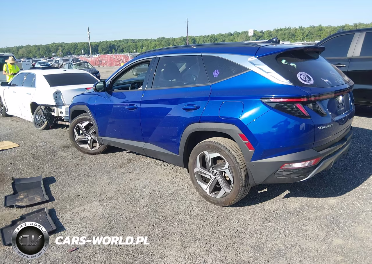 2024 Hyundai Tucson Limited VIN:5NMJECDE7RH338134 - 3