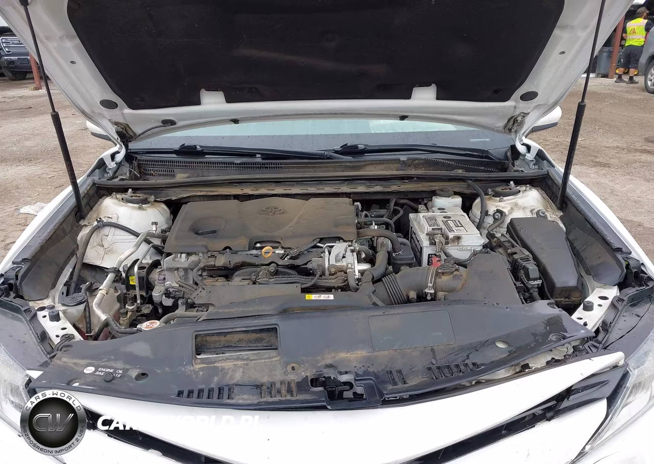 2019 Toyota Camry Le VIN:4T1B11HKXKU259605 - 10