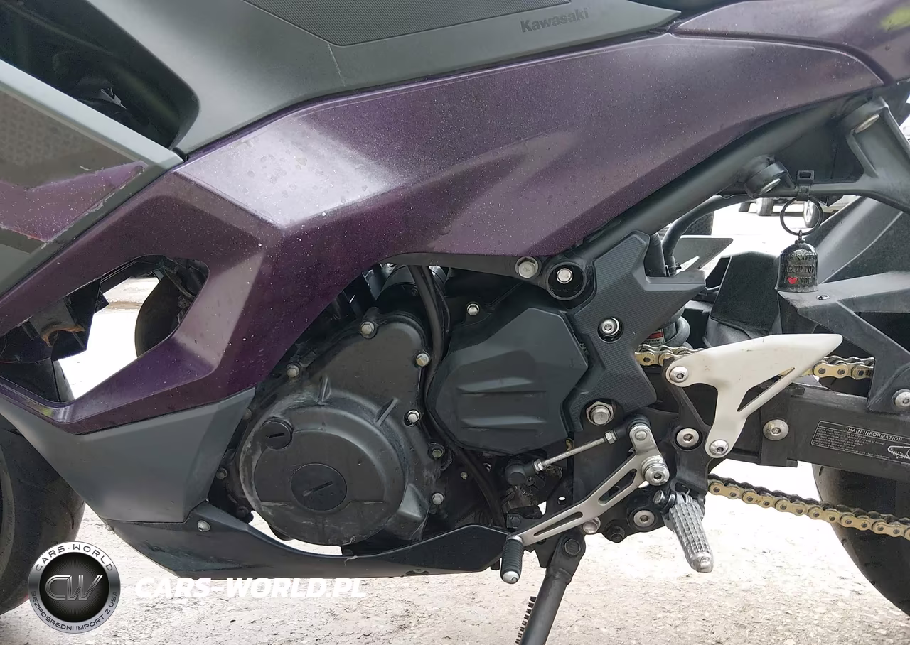 2025 Kawasaki Ex500 A-B VIN:ML5EXGJ17SDA59038 - 9