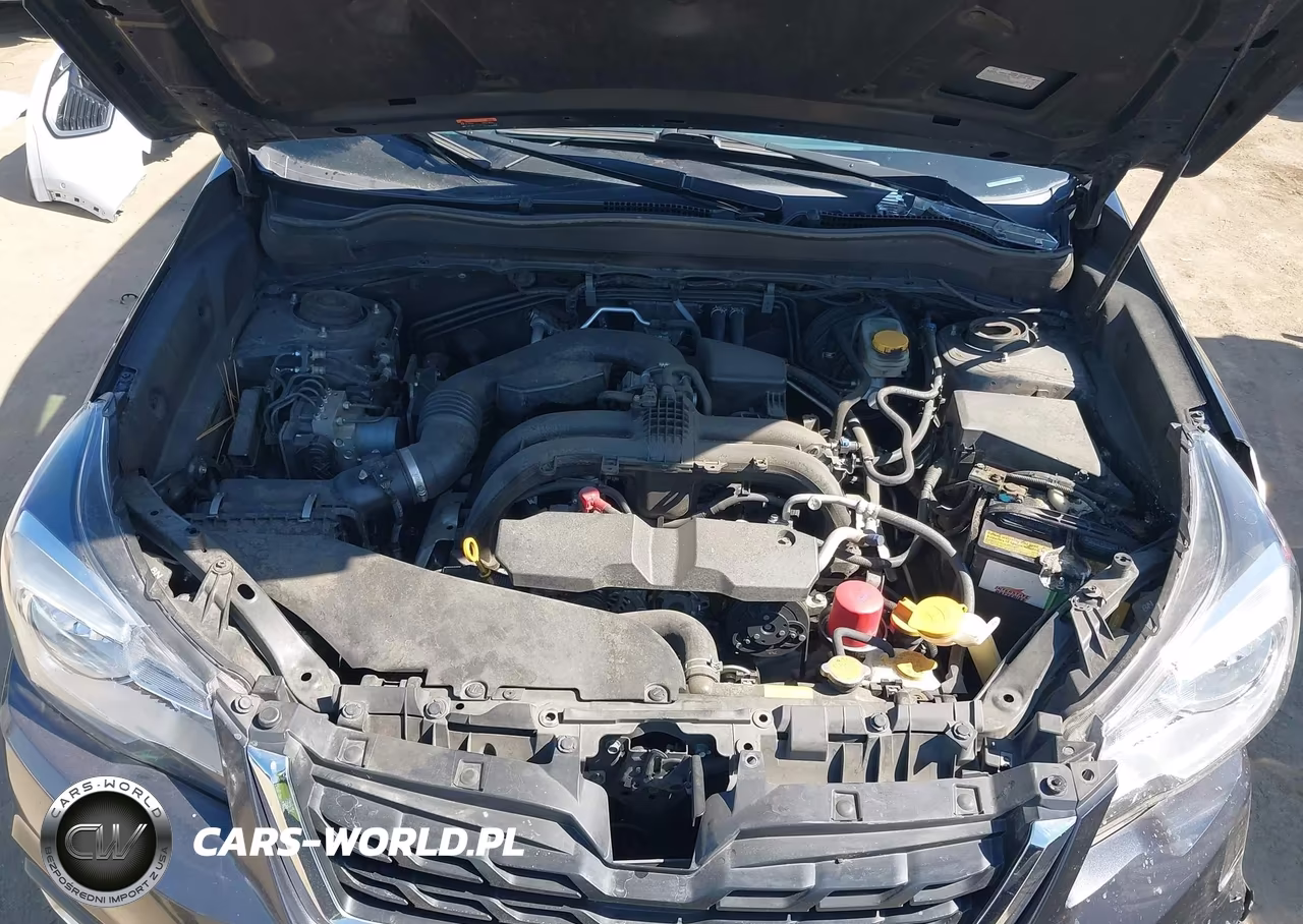 2018 Subaru Forester 2.5I Premium VIN:JF2SJAGC3JH429133 - 10