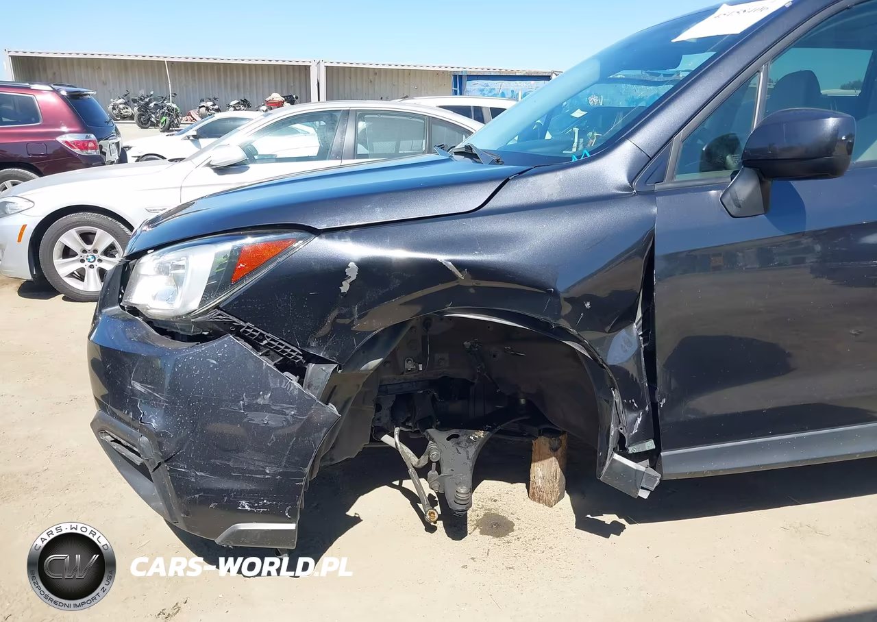 2018 Subaru Forester 2.5I Premium VIN:JF2SJAGC3JH429133 - 6
