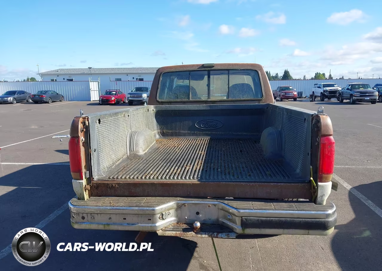 1991 Ford F150 VIN:1FTEX14N2MKA74964 - 12