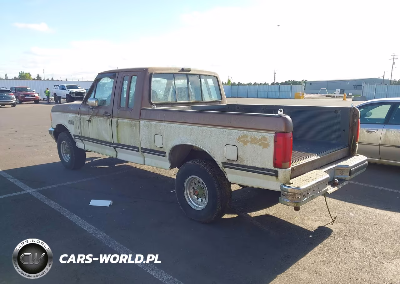 1991 Ford F150 VIN:1FTEX14N2MKA74964 - 3