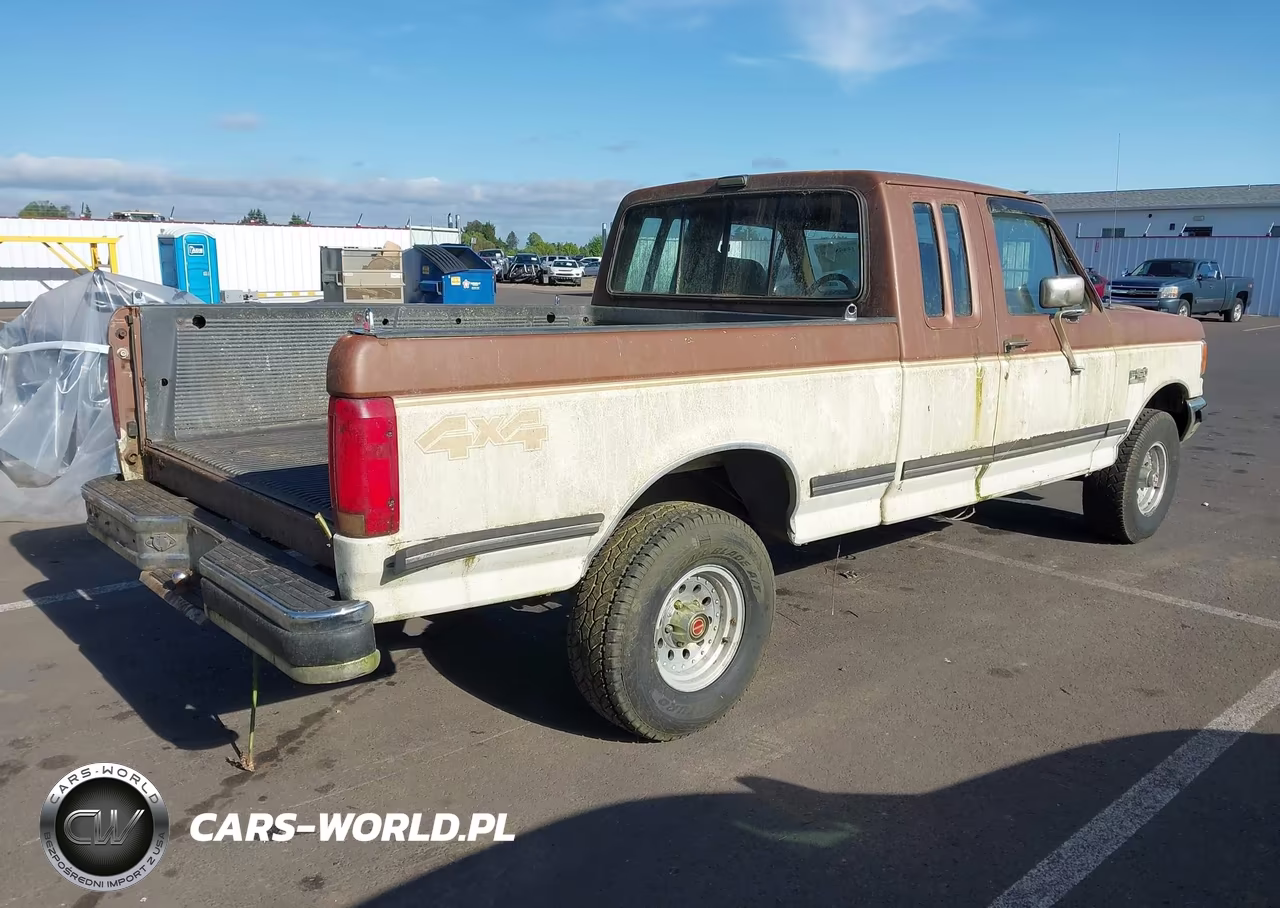 1991 Ford F150 VIN:1FTEX14N2MKA74964 - 4