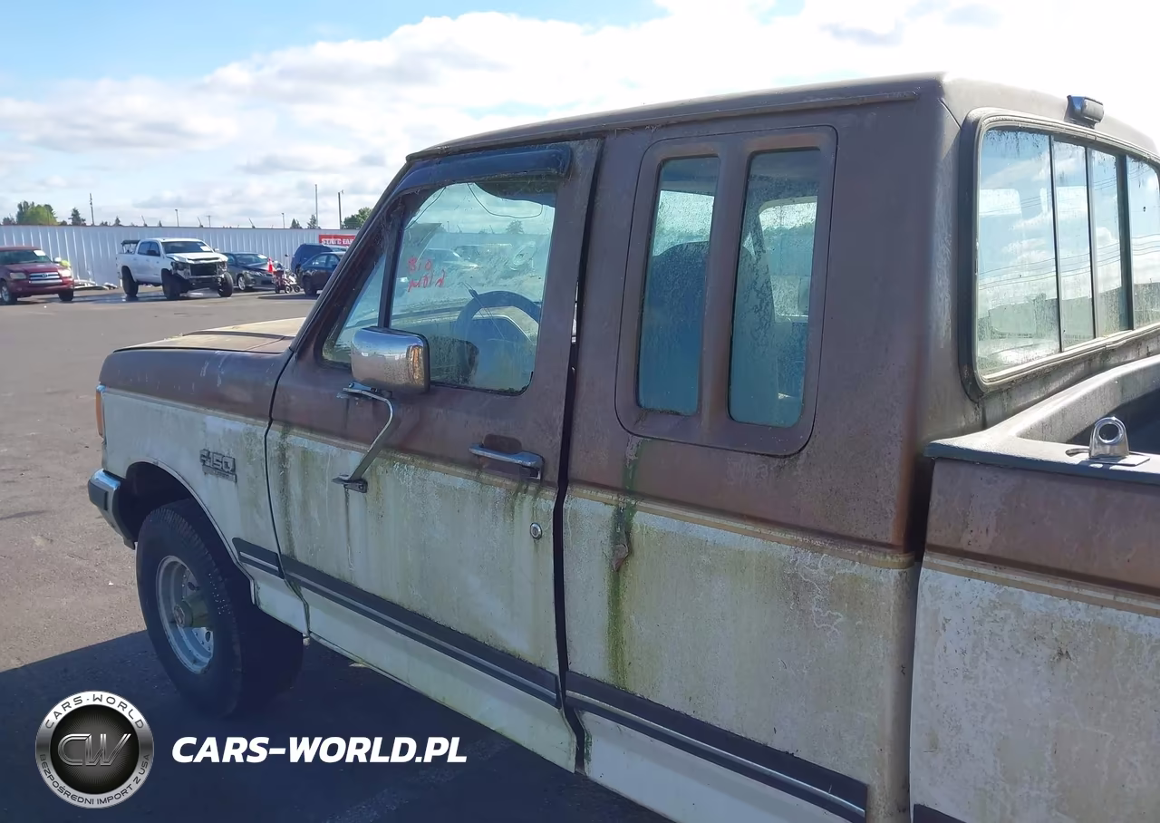 1991 Ford F150 VIN:1FTEX14N2MKA74964 - 6