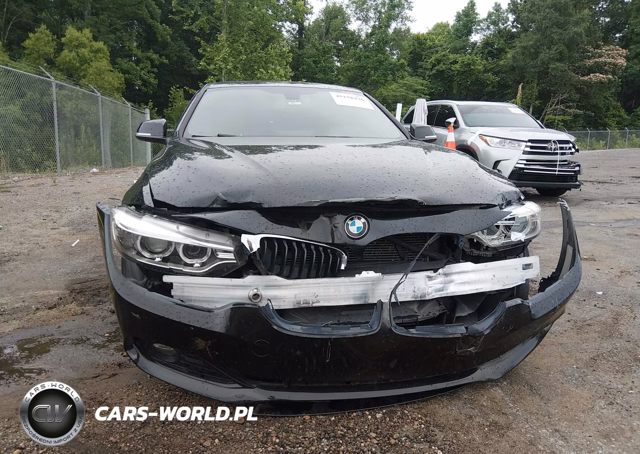 2015 BMW 428 Gran Coupe VIN:WBA4A9C54FD416190 - 11