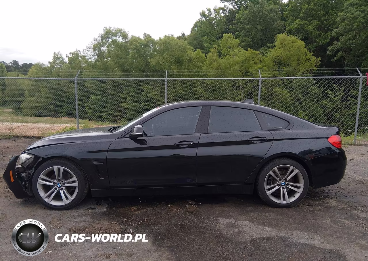 2015 BMW 428 Gran Coupe VIN:WBA4A9C54FD416190 - 13