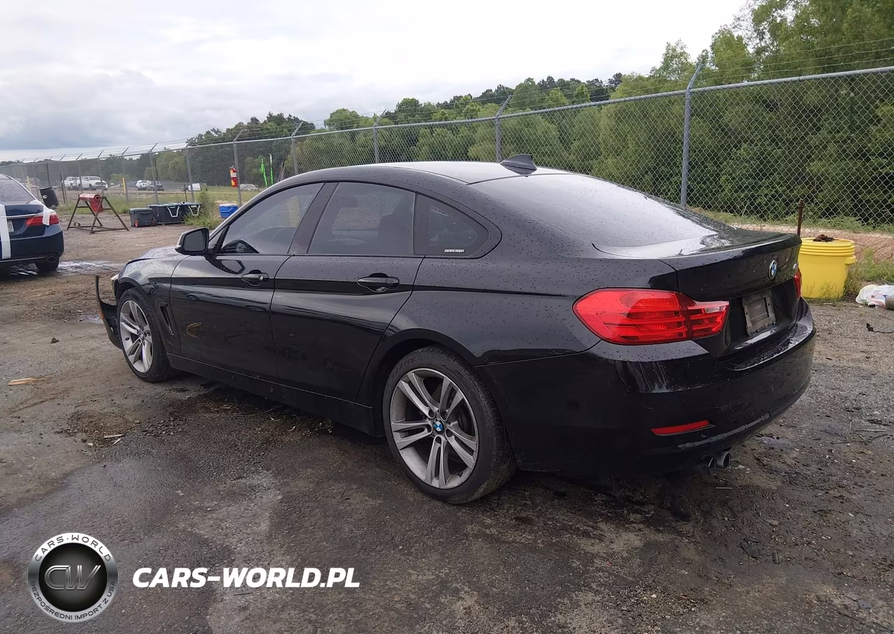 2015 BMW 428 Gran Coupe VIN:WBA4A9C54FD416190 - 3
