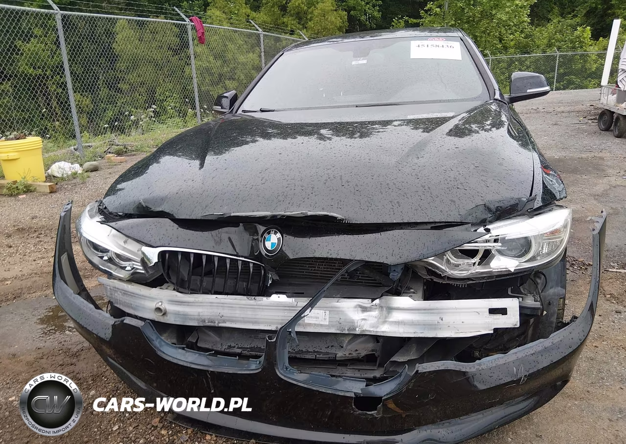 2015 BMW 428 Gran Coupe VIN:WBA4A9C54FD416190 - 6