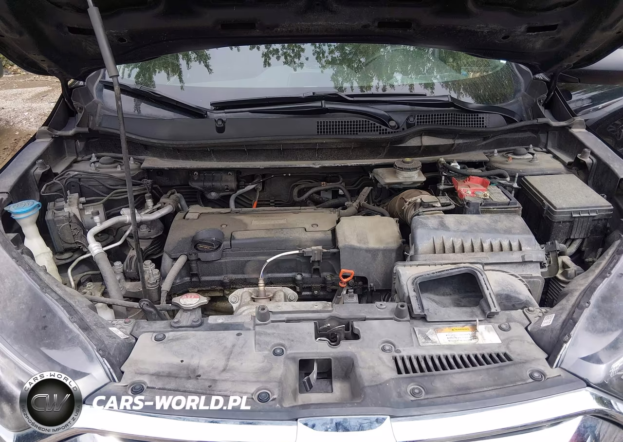 2019 Honda Cr-V Lx VIN:2HKRW5H37KH421835 - 10