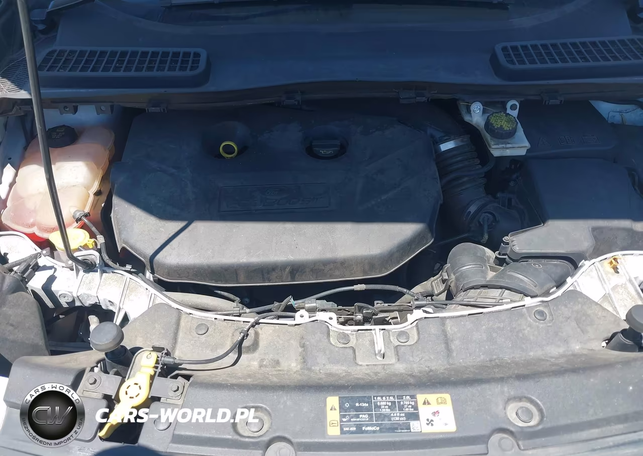 2016 Ford Escape Se VIN:1FMCU0G94GUA45415 - 10