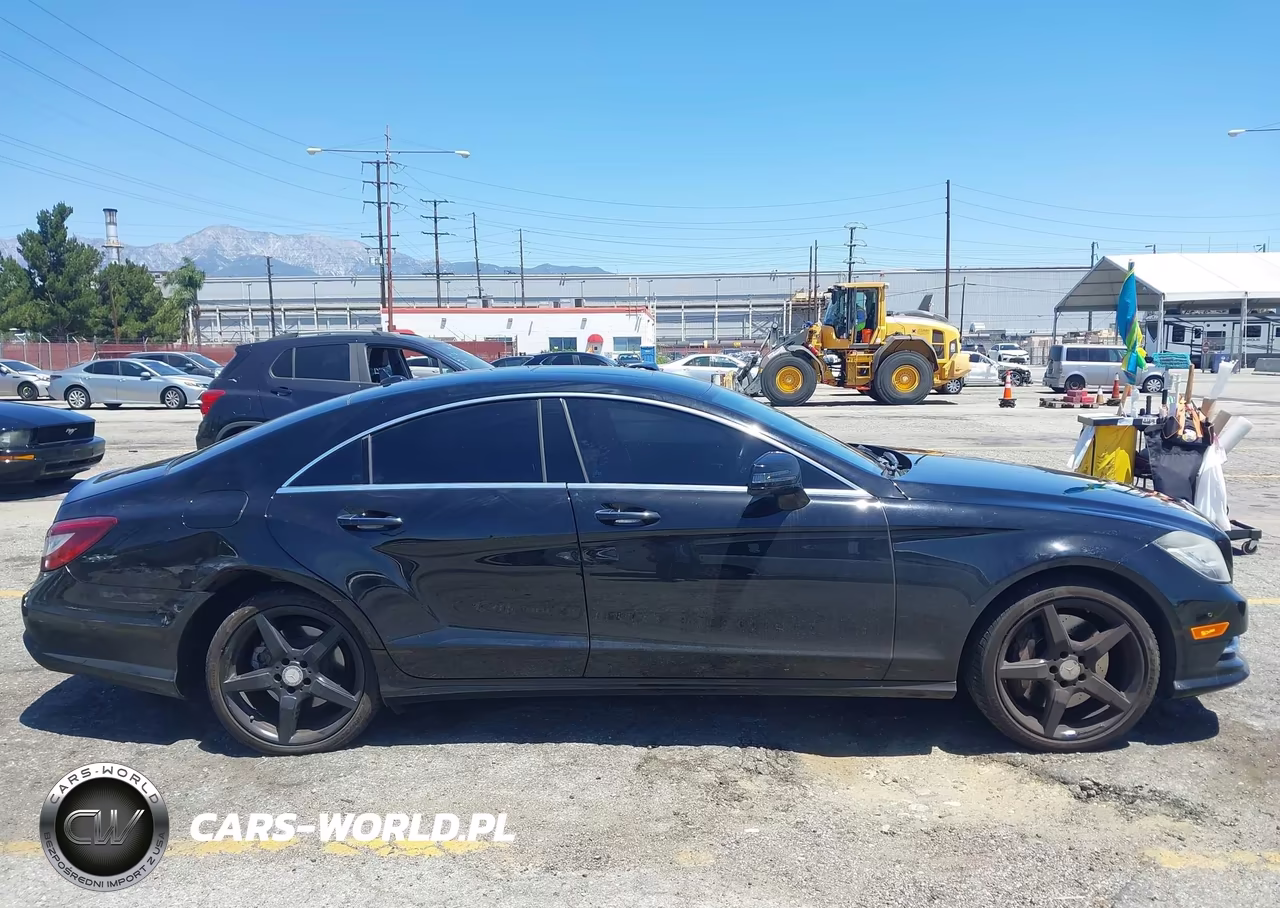 2014 Mercedes-Benz Cls 550 VIN:WDDLJ7DBXEA119387 - 14