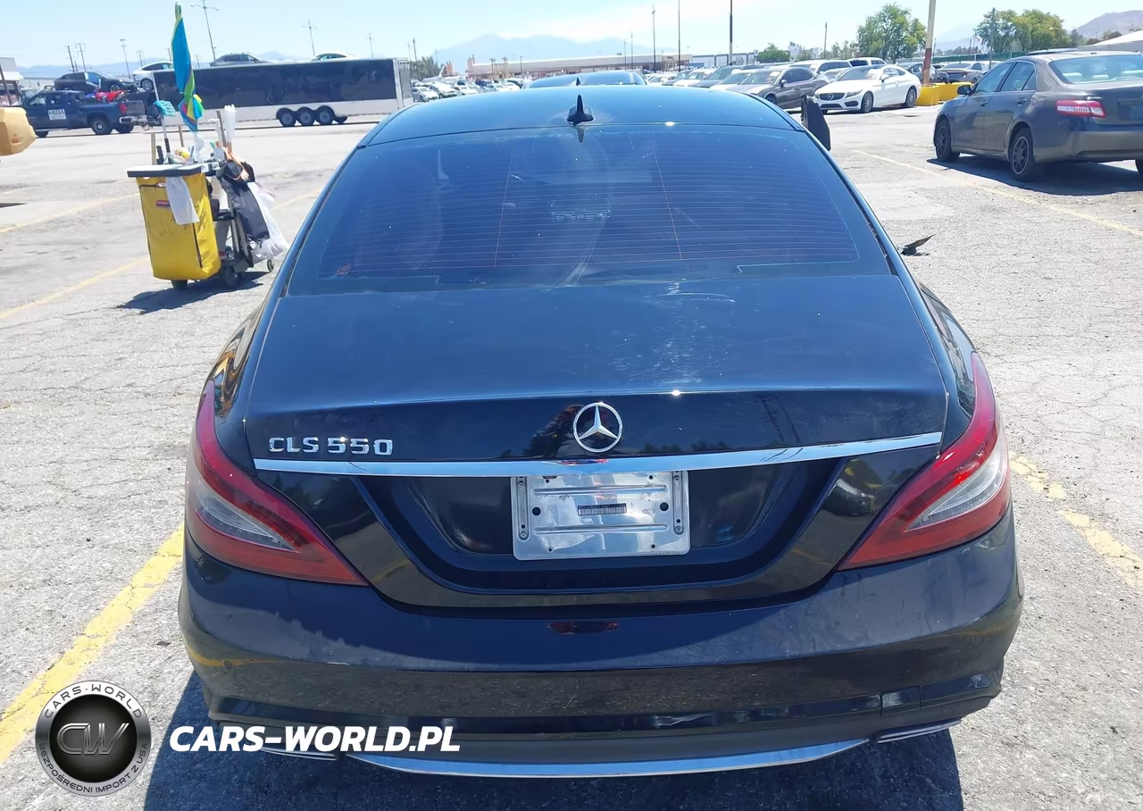 2014 Mercedes-Benz Cls 550 VIN:WDDLJ7DBXEA119387 - 17