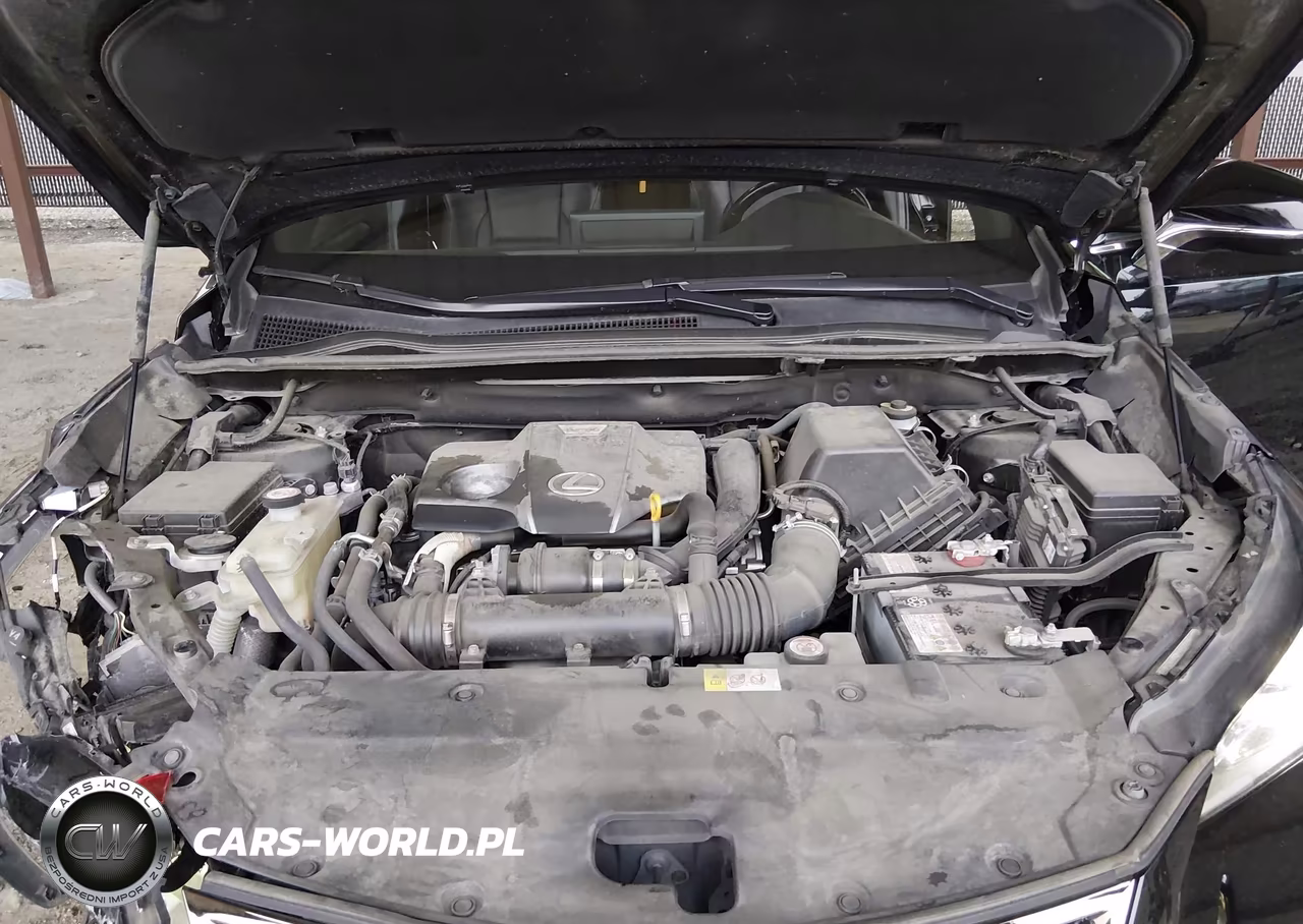 2018 Lexus Nx 300 F Sport VIN:JTJBARBZ5J2169925 - 10