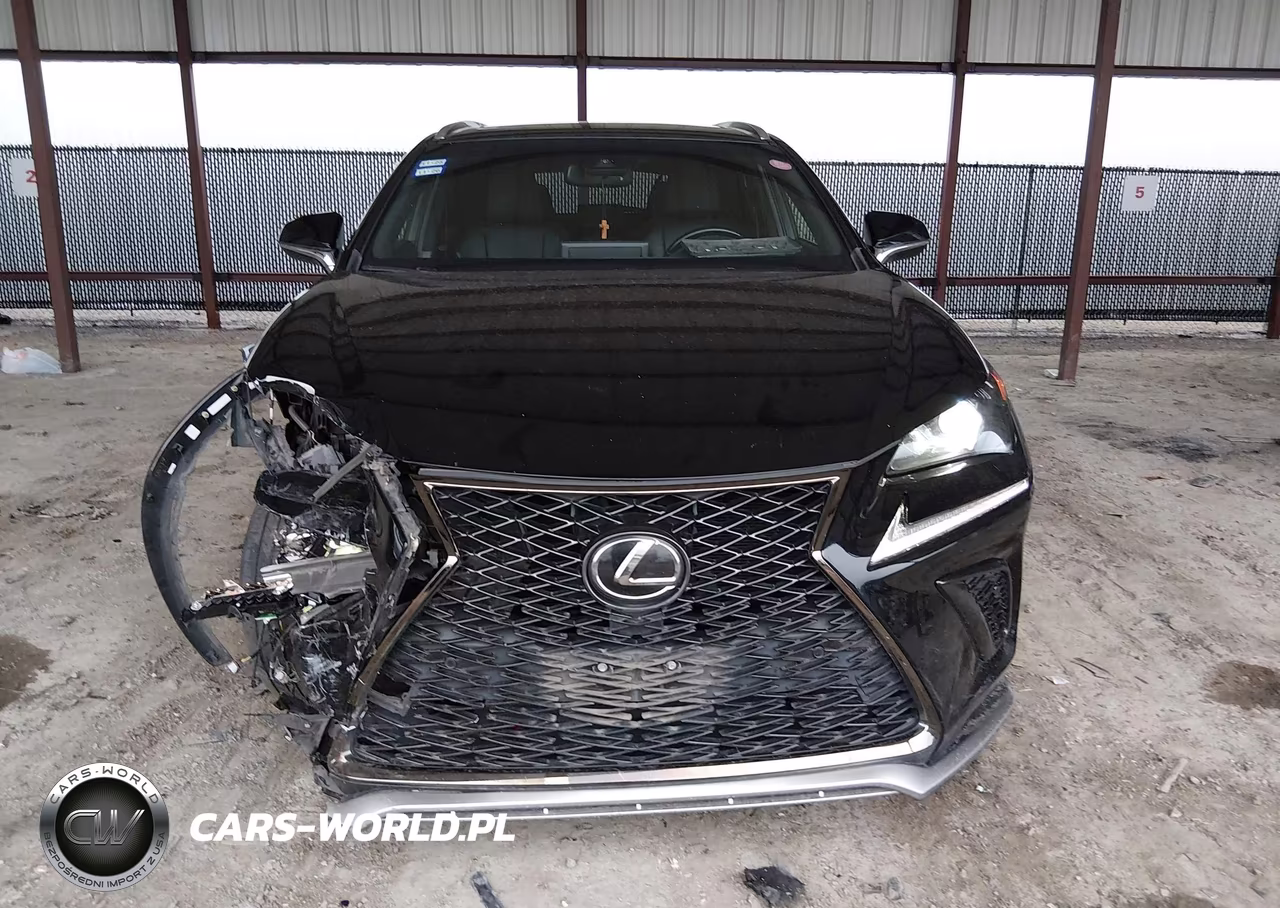 2018 Lexus Nx 300 F Sport VIN:JTJBARBZ5J2169925 - 12