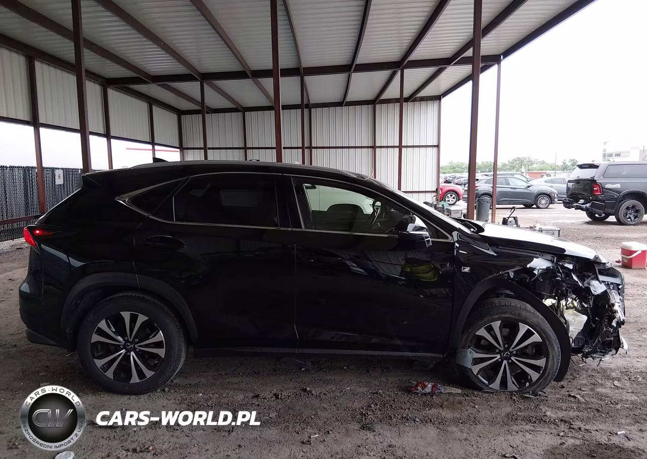 2018 Lexus Nx 300 F Sport VIN:JTJBARBZ5J2169925 - 13