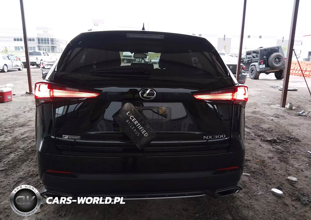 2018 Lexus Nx 300 F Sport VIN:JTJBARBZ5J2169925 - 16