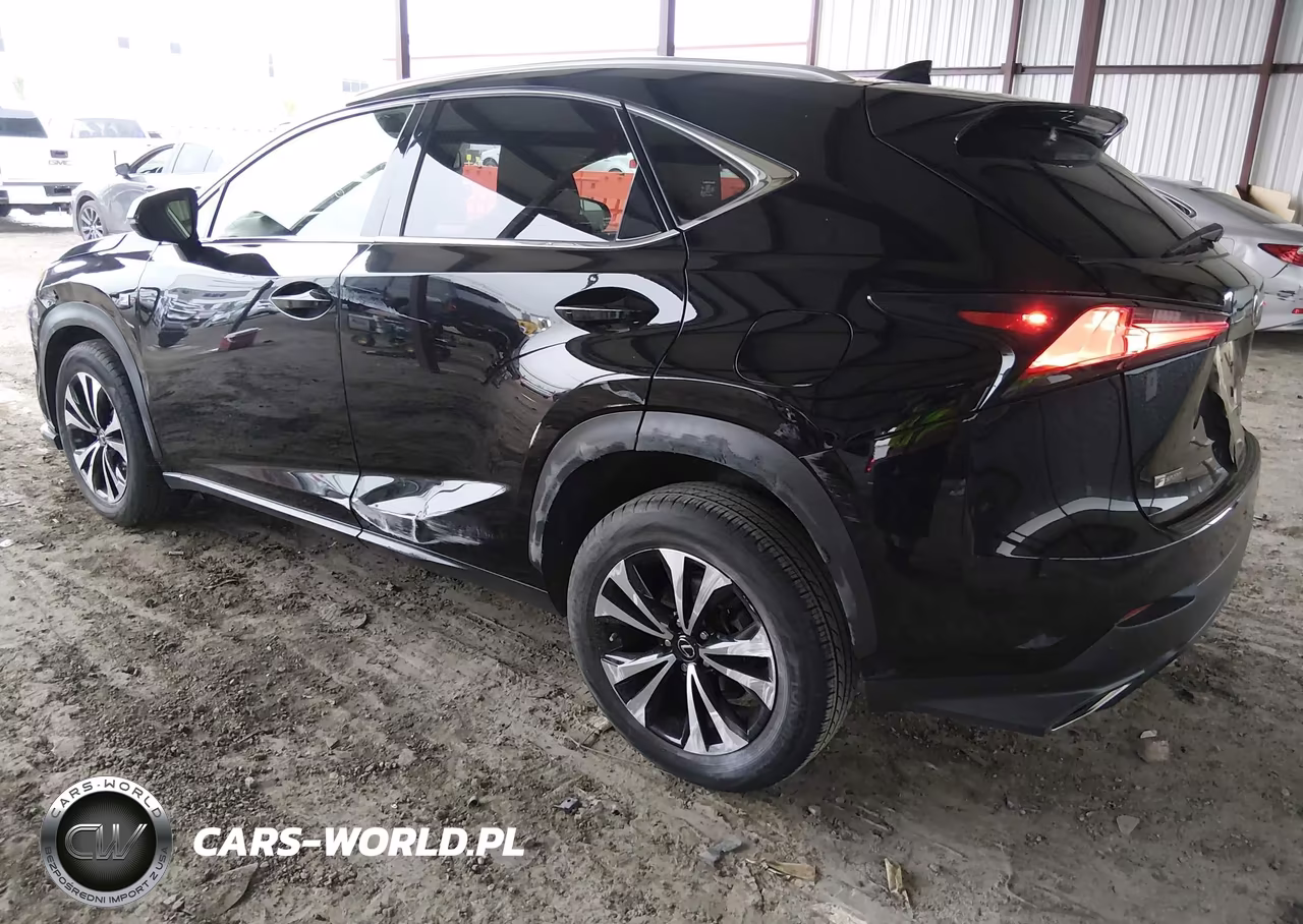 2018 Lexus Nx 300 F Sport VIN:JTJBARBZ5J2169925 - 3