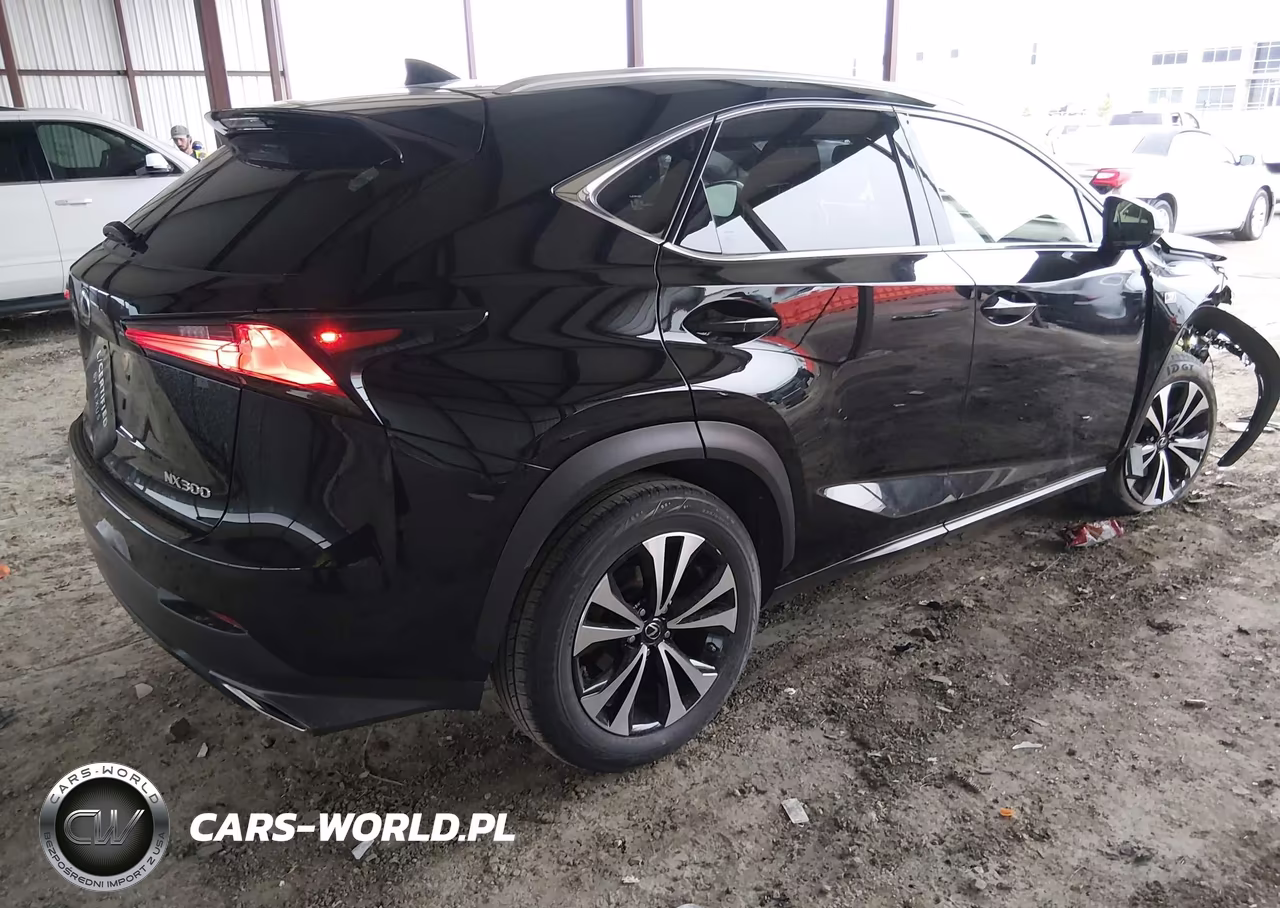 2018 Lexus Nx 300 F Sport VIN:JTJBARBZ5J2169925 - 4