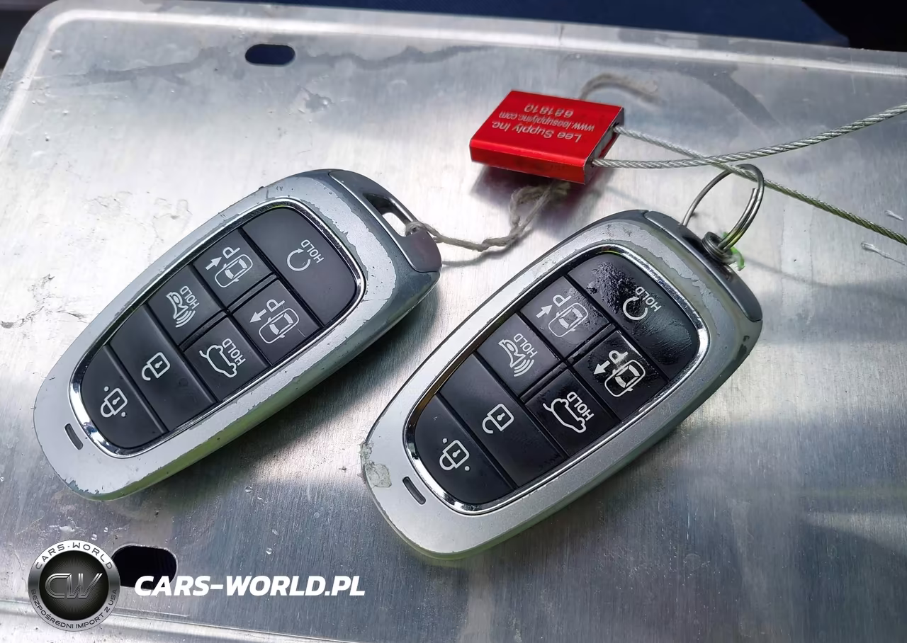 2023 Hyundai Santa Fe Limited VIN:5NMS4DAL6PH498812 - 11
