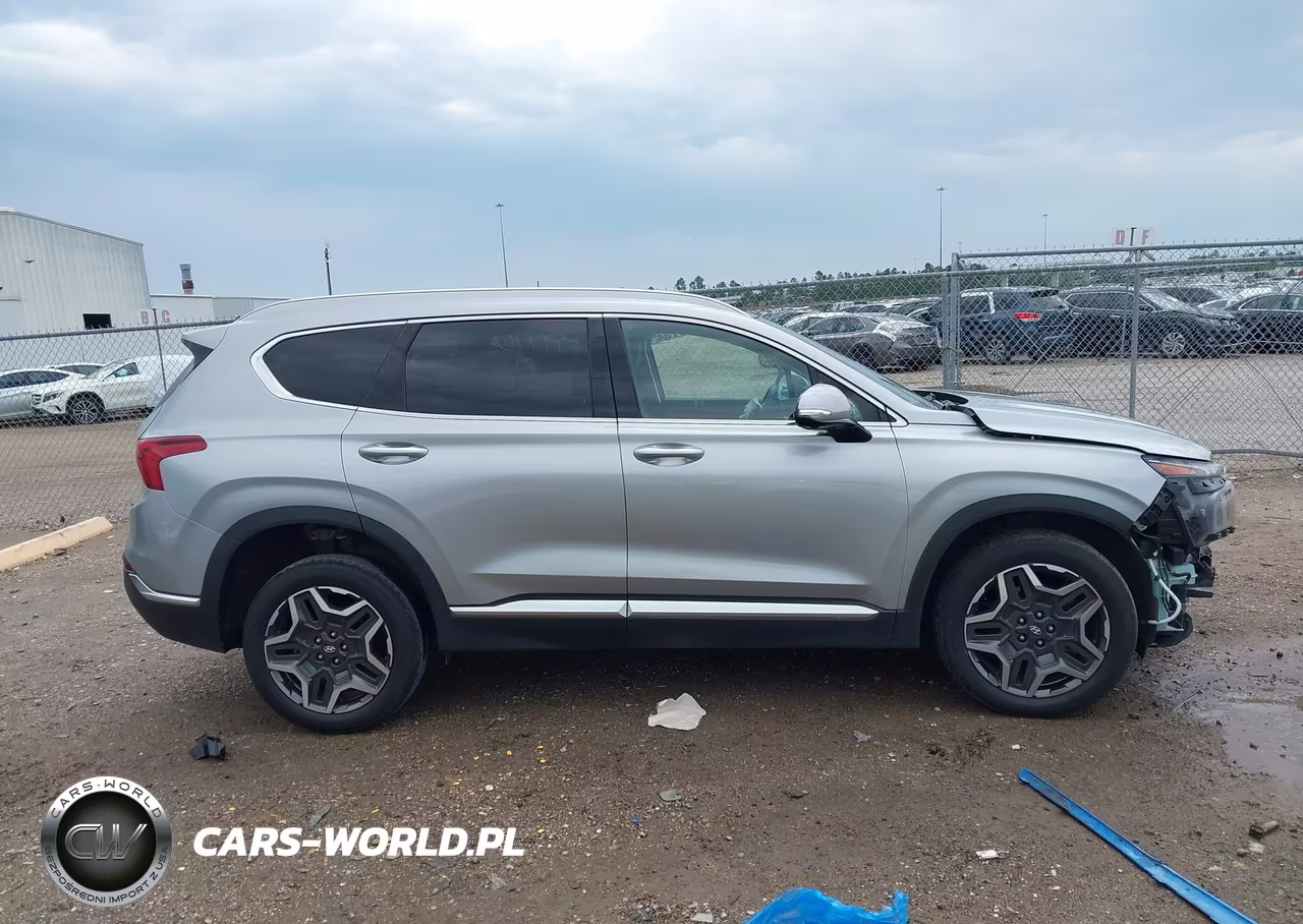 2023 Hyundai Santa Fe Limited VIN:5NMS4DAL6PH498812 - 14