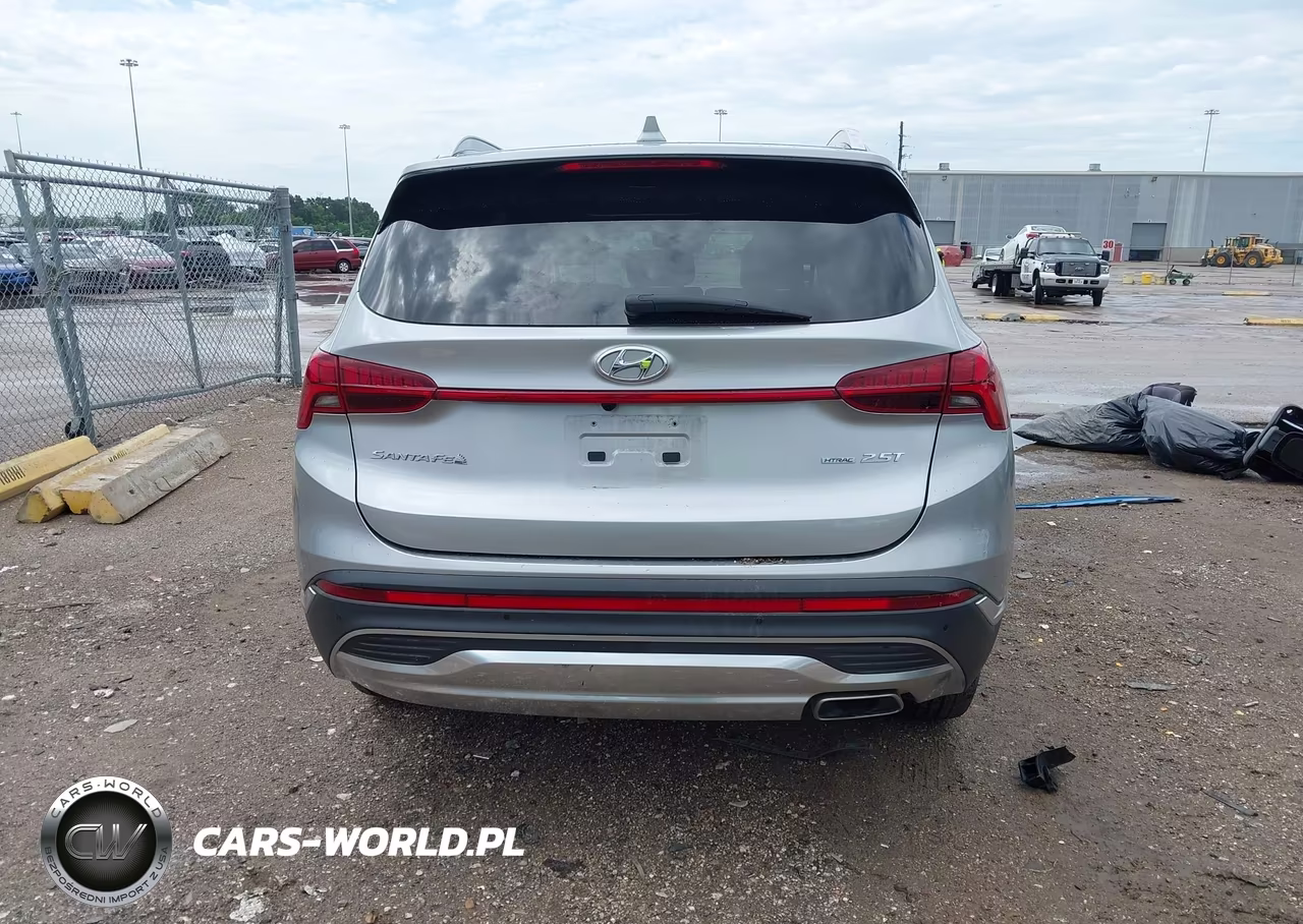 2023 Hyundai Santa Fe Limited VIN:5NMS4DAL6PH498812 - 17