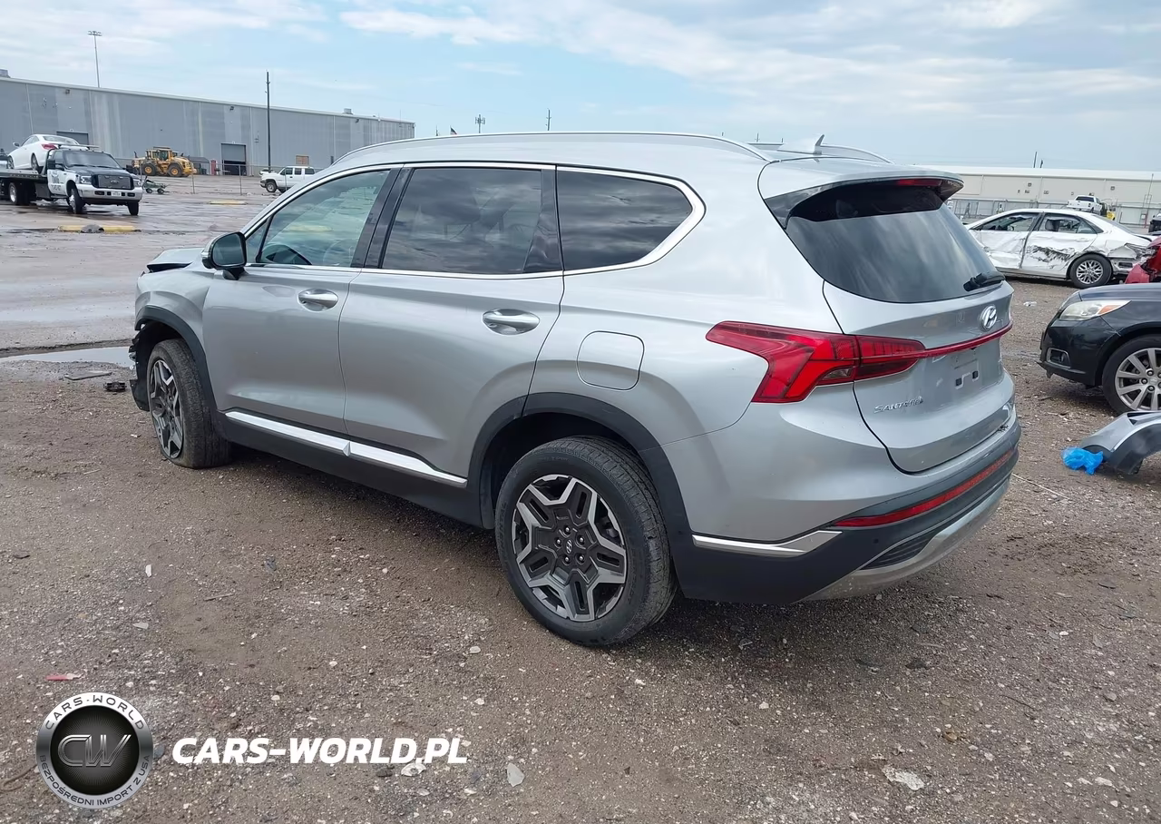 2023 Hyundai Santa Fe Limited VIN:5NMS4DAL6PH498812 - 3