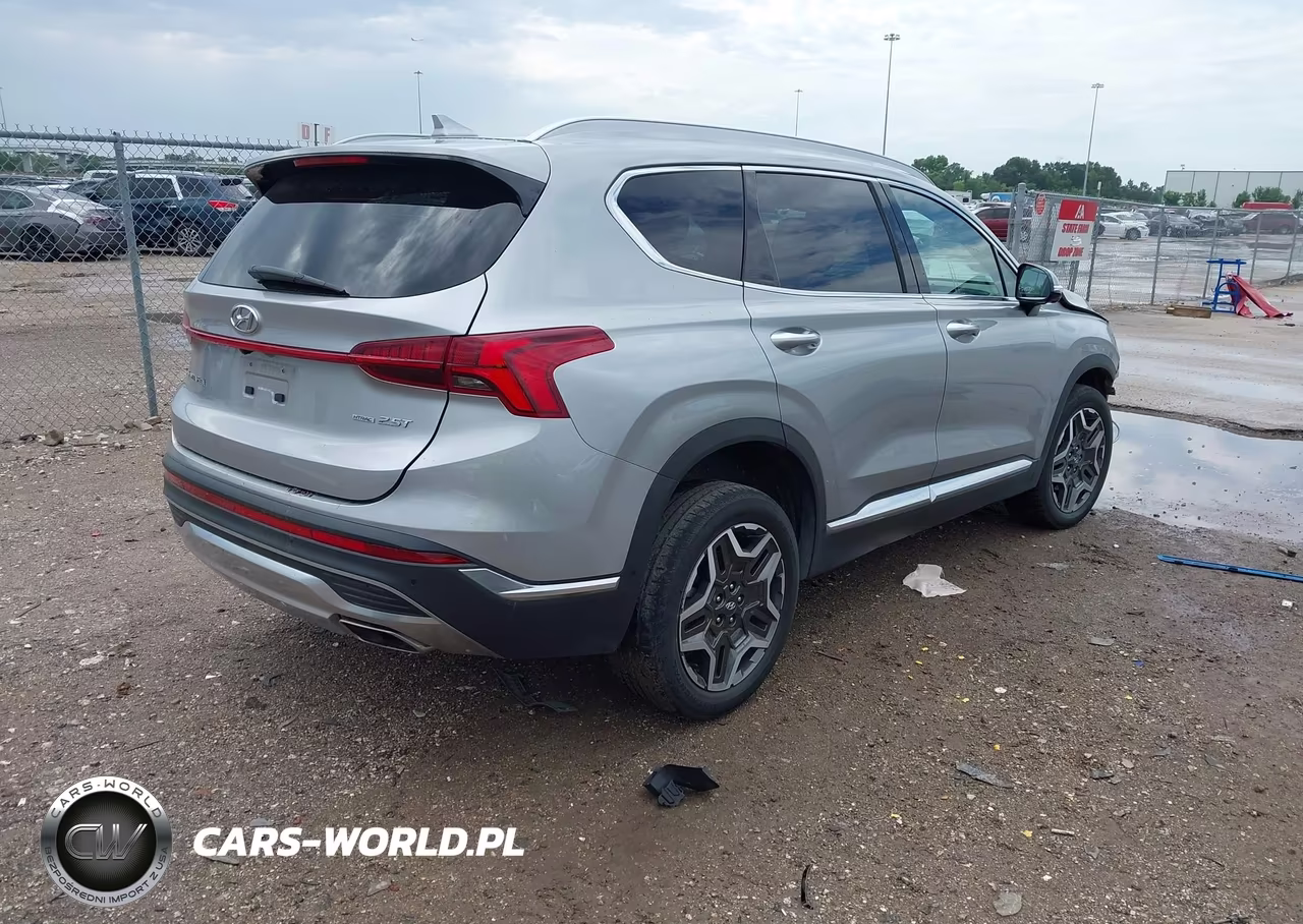 2023 Hyundai Santa Fe Limited VIN:5NMS4DAL6PH498812 - 4