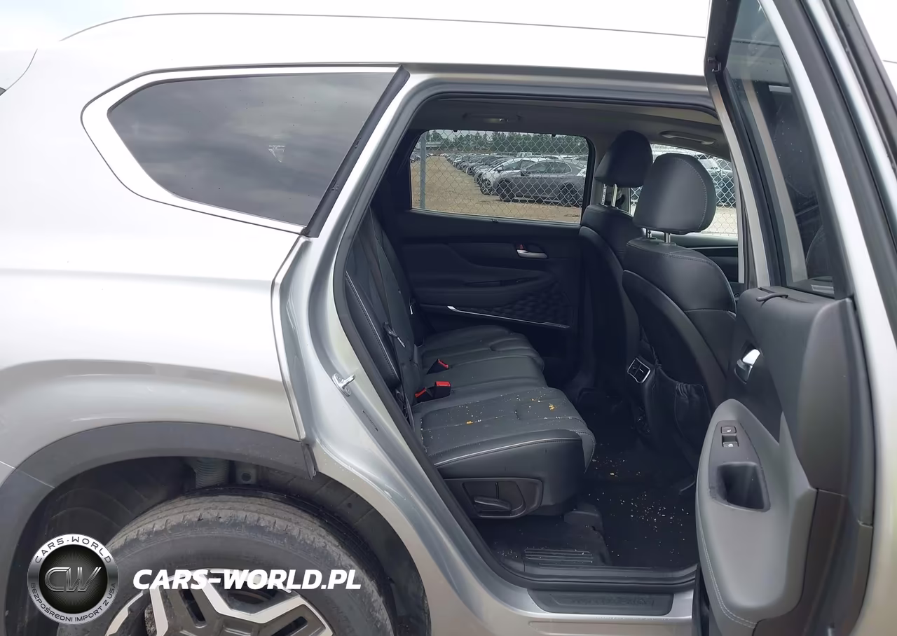2023 Hyundai Santa Fe Limited VIN:5NMS4DAL6PH498812 - 8