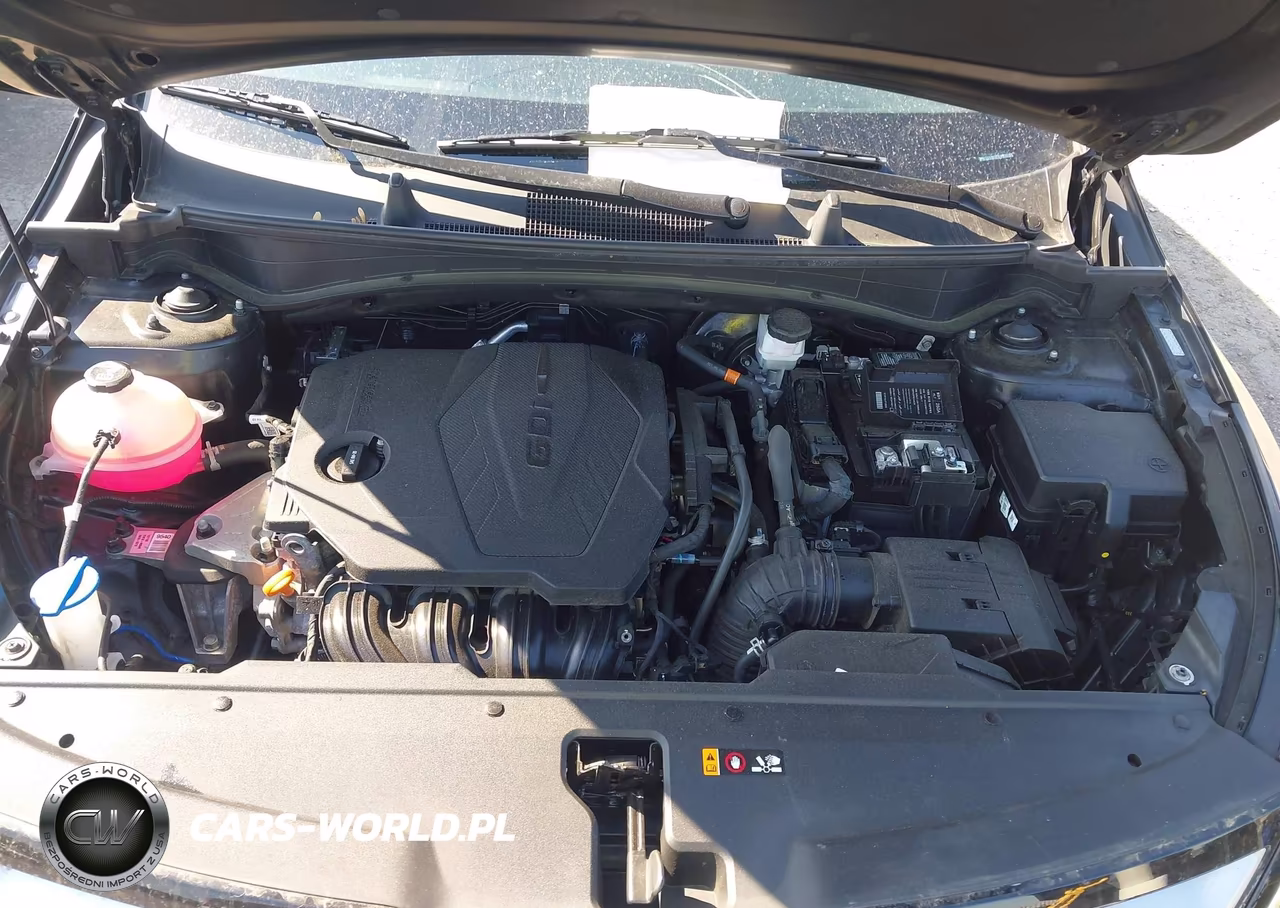 2023 Kia Sportage Ex VIN:5XYK3CAF8PG130472 - 10