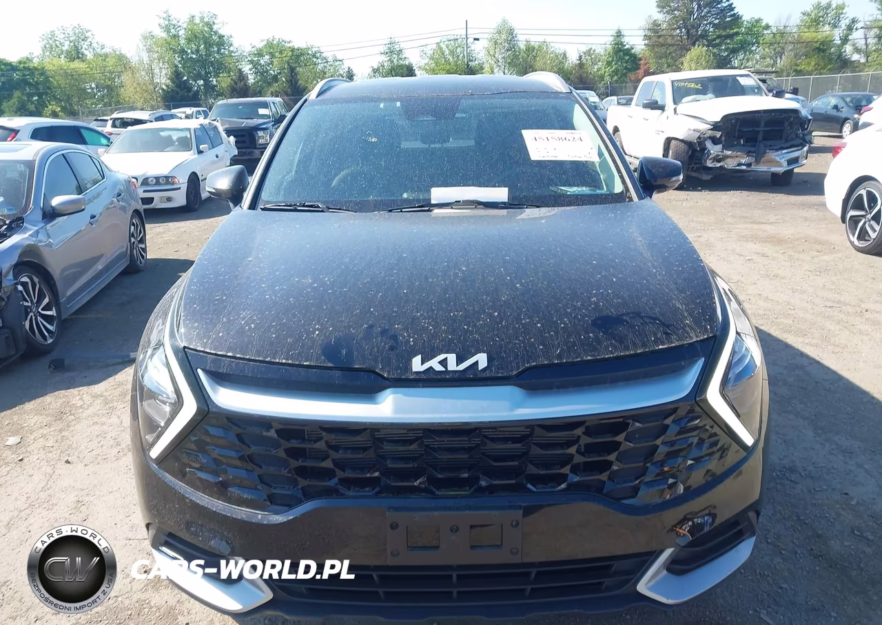 2023 Kia Sportage Ex VIN:5XYK3CAF8PG130472 - 12