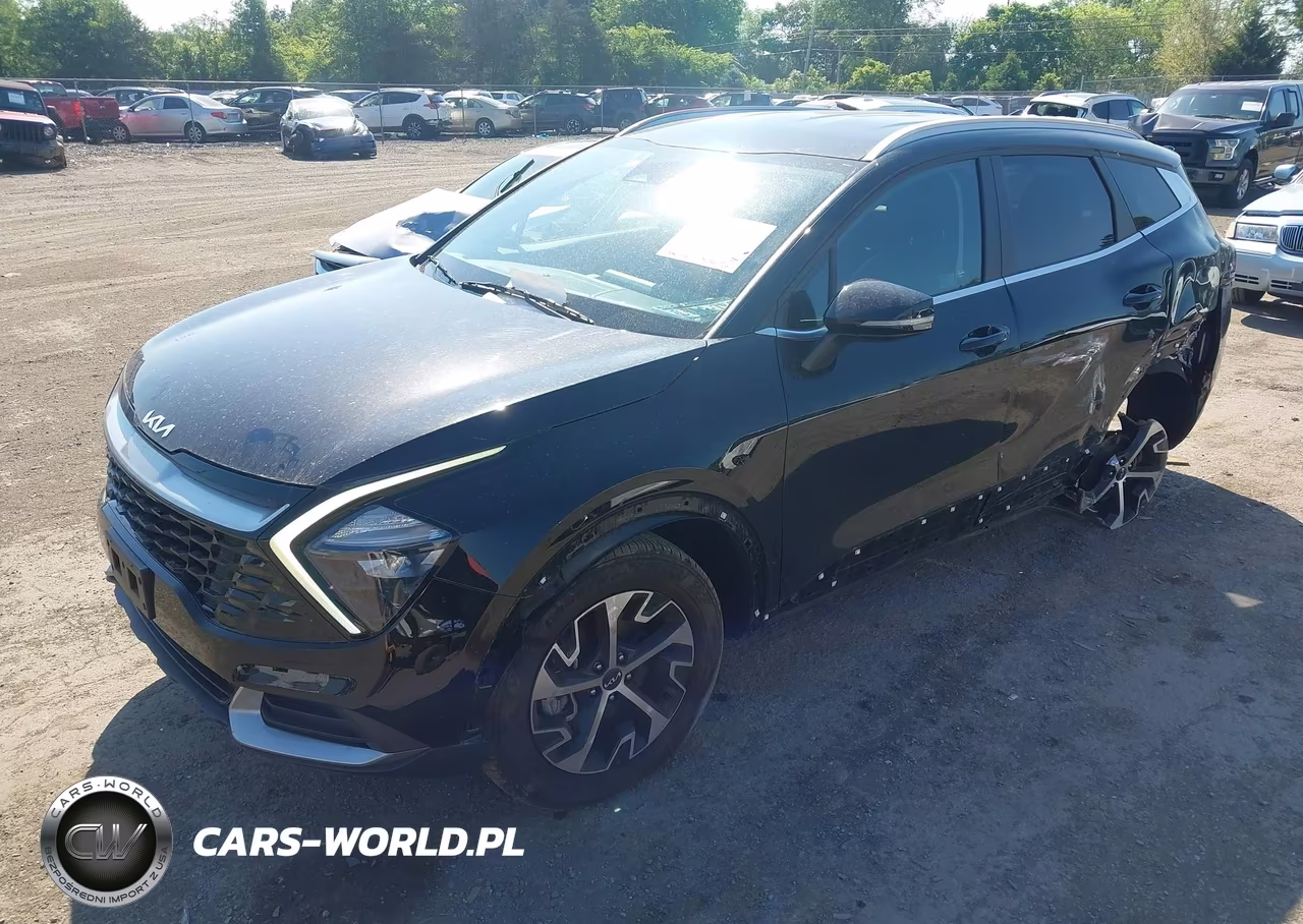 2023 Kia Sportage Ex VIN:5XYK3CAF8PG130472 - 2